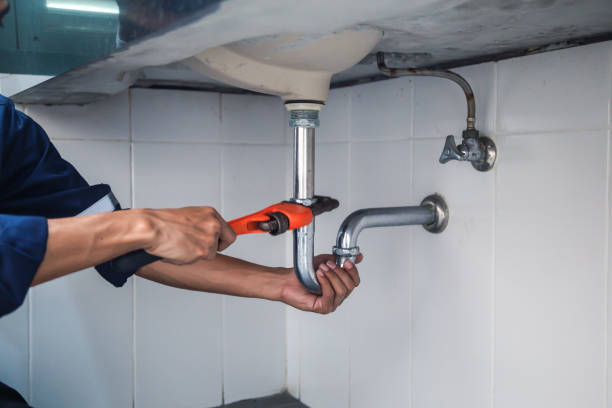  Lake Holiday, IN Plumbing Pros