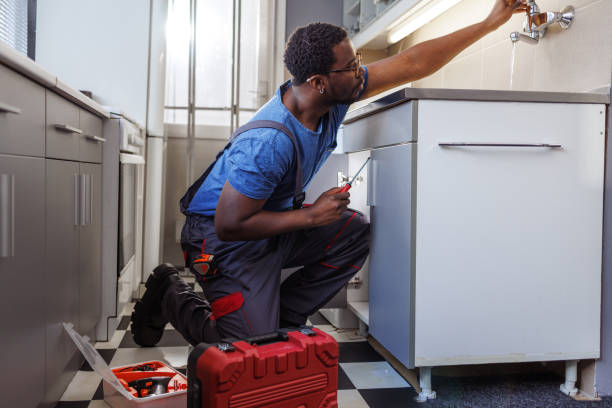 Best Same-Day Plumbing Service  in Lake Holiday, IN